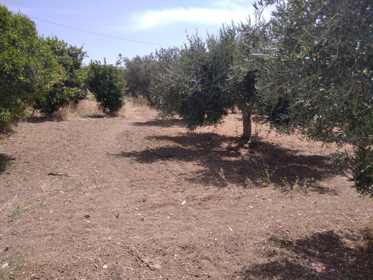 Capinera Bed & Breakfast Agrigento Luaran gambar
