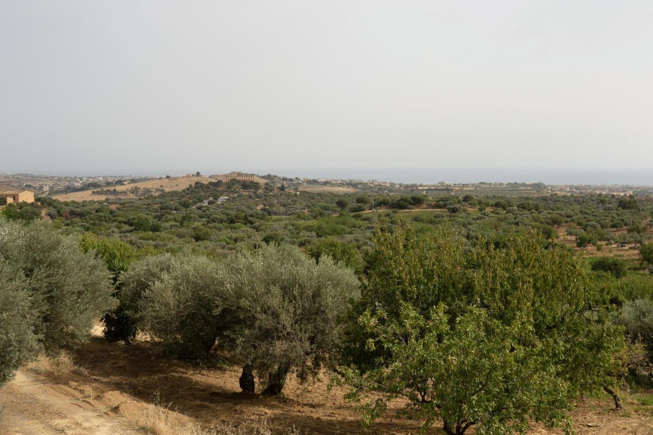 Capinera Bed & Breakfast Agrigento Luaran gambar